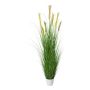Deko Gras Pampasgras FONZA im Dekotopf, Rispen, braun-gelb, 180cm