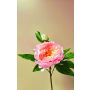 Künstliche Pfingstrose FYRFAR, offen, rosa, 60cm