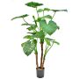 Künstliche Pflanze Alocasia calidora NOKJAN, grün, 120cm