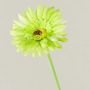 Kunstblume Gerbera TEUDELINDE, grün-creme, 55cm, Ø8cm