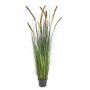 Gras Kunstpflanze Fuchsschwanzgras ANAELLA mit Rispen, grün, 150cm