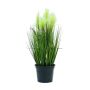Deko Federgras TIMEA mit Rispen, grün, 60cm