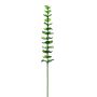 Plastik Eucalyptuszweig GLAUCO in Glasoptik, 12 Stück, grün, 80cm