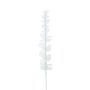 Plastik Eucalyptuszweig GLAUCO in Glasoptik, 12 Stück, weiß, 80cm