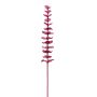 Plastik Eucalyptuszweig GLAUCO in Glasoptik, 12 Stück, burgunderrot, 80cm