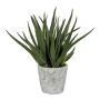 Kunst Sukkulente Aloe Vera BRIZE im Zementtopf, grün, 45cm