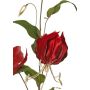 Samtiger Gloriosa Zweig DINFAS, dunkelrot-gold, 80cm