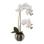 Kunstblume Phalaenopsis Orchidee ZARFU, Dekotopf silber, Wurzeln, weiß, 40cm