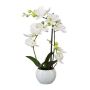 Kunst Phalaenopsis Orchidee INAKES, Keramiktopf, Wurzeln, weiß, 40cm