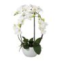 Kunst Phalaenopsis Orchidee INAKES, Keramiktopf, Wurzeln, weiß, 50cm