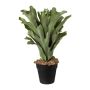 Kunst Pflanze Geweihfarn FROHEL, Dekotopf, grün, 45cm