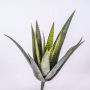 Kunst Sukkulente Aloe Variegata MARTINEZ zum Stecken, grün, 30cm, Ø17cm