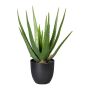 Künstliche Sukkulente Aloe Vera KRONFA im Dekotopf, grün, 45cm