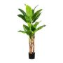 Kunspalme Bananenpflanze FABIEN, 150cm