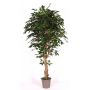 Kunststoffschaum Ficus Benjamini YANEXY, Naturstämme, grün, 175cm - Made in Italy