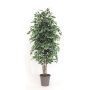 Kunst Ficus Benjamini KONRADE, Echte Stämme, grün-weiß, 250cm - Made in Italy