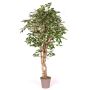 Kunststoffschaum Ficus Benjamini YANEXY, Naturstämme, grün-weiß, 175cm - Made in Italy
