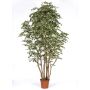 Deko Ficus Benjamini MIMITIGO, Echtstämme, grün-weiß, 250cm - Made in Italy