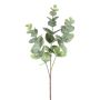 Deko Zweig Eukalyptus BLIFER, grau-grün, 50cm