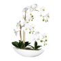Deko Phalaenopsis Orchidee JELTRON, Keramikschale, Wurzeln, weiß, 60cm