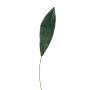 Dekoblatt Schusterpalme PAISA, 75cm