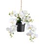 Deko Phalaenopsis Orchideen Blumenampel LARSAY, Dekotopf, weiß, 25cm
