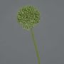 Kunstblume Allium BAILIN, grün, 45cm, Ø6,5cm