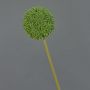 Kunstblume Allium BAILIN, grün, 65cm, Ø10cm
