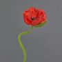 Dekoblume Mohnblume ANKANG, rot, 70cm, Ø9,5cm