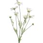Dekoblumen Zweig Schmuckkörbchen BAILING, creme, 90cm