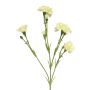 Dekoblume Nelke AHONG, creme, 60cm, Ø6-7cm