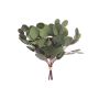 Unechter Eukalyptus Bund DONGXU, grün, 30cm