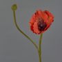 Deko Blume Mohnblume YILAN, rot, 60cm, Ø12cm