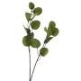 Kunst Zweig Eukalyptus AOSHAN, grün, 80cm