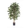 Kunststoff Ficus Benjamina THIAGO, Naturstämme, schwer brennbar, grün, 180cm