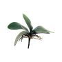 Dekoblätter Phalaenopsis Orchidee XIAOQIN mit Luftwurzeln, 25cm