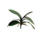Dekoblätter Phalaenopsis Orchidee XIAOQIN mit Luftwurzeln, 30cm