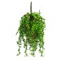 Plastik Senecio Hänger RUIAN auf Steckstab, grün, 25cm