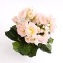Deko Begonie IVANA zum Stecken, rosa-weiß, 20cm, Ø3-5cm