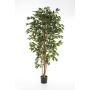 Dekobaum Ficus Benjamini AVELLINO, Echtstämme, grün, 150cm