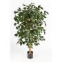 Unechter Ficus Benjamini DECIO, Naturstämme, grün, 180cm