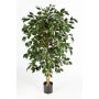 Unechter Ficus Benjamini DECIO, Naturstämme, grün, 210cm