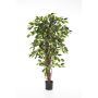 Deko Ficus Benjamini JARLAN, Echtstämme, grün, 120cm