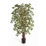 Deko Ficus Benjamini JARLAN, Echtstämme, grün-weiß, 120cm