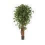 Kunst Ficus Benjamini LUCIUS, Echtstämme, grün, 120cm