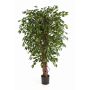 Deko Ficus Benjamini DAKU, Naturstämme, grün, 90cm