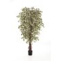 Deko Ficus Benjamini DAKU, Naturstämme, grün-weiß, 90cm