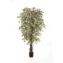 Deko Ficus Benjamini DAKU, Naturstämme, grün-weiß, 120cm