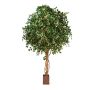Dekobaum Ficus Benjamini RAMZO, Echtstämme, im Topf, grün, 315cm