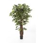 Kunststoff Ficus Benjamini PHIPSO, Echtstämme, grün, 180cm